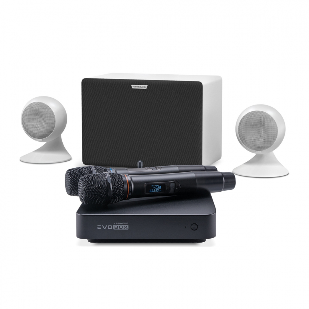 караоке-комплект EVOBOX Classic + EvoSound Sphere 2.1 в Махачкале