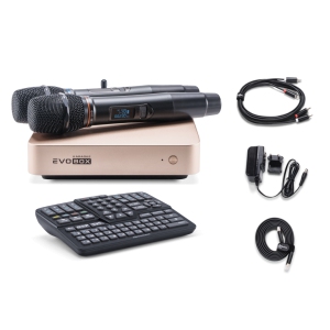 EVOBOX Classic караоке-система для дома в Махачкале